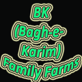 BK (Bagh-e-Karim) Family Farm House