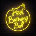 Burning Bull