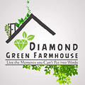 Diamond Green Farm House