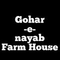 Gohr-e-Nayab Farm House
