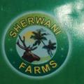 Sherwani Farm Houses And Resort