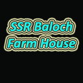 SSR Baloch Farm House