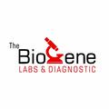 The Biogene Medical PCR Diagnostic labs