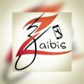 Zaibis Electronics