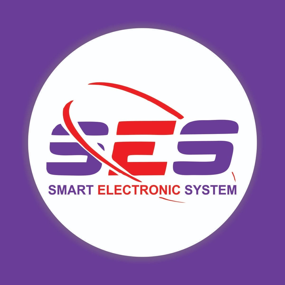 Smart Electronic System